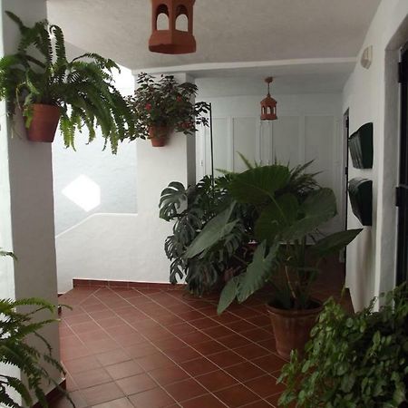 Apartamento En Conil Conil de la Frontera Kültér fotó