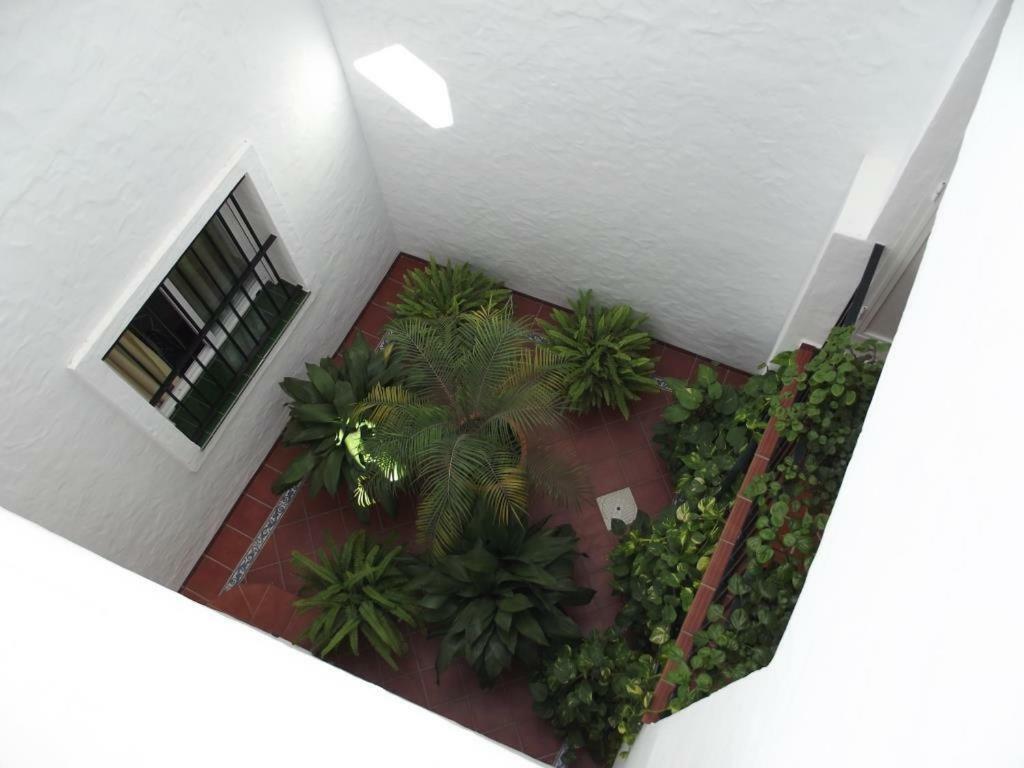 Apartamento En Conil Conil de la Frontera Kültér fotó